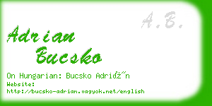 adrian bucsko business card